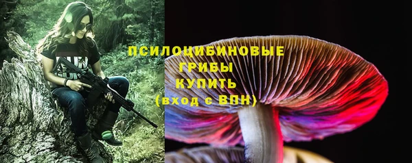 apvp Абаза