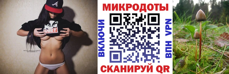 сколько стоит Рыльск Псилоцибиновые грибы Cubensis